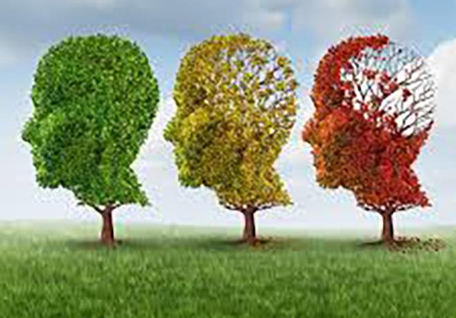 Article-Alzheimer_660x460