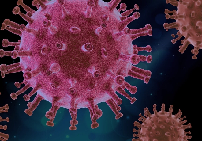 virus-
